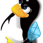 פרופיל קישורים פנימיים