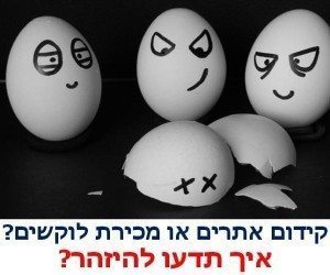 קידום אתרים או מכירת לוקשים