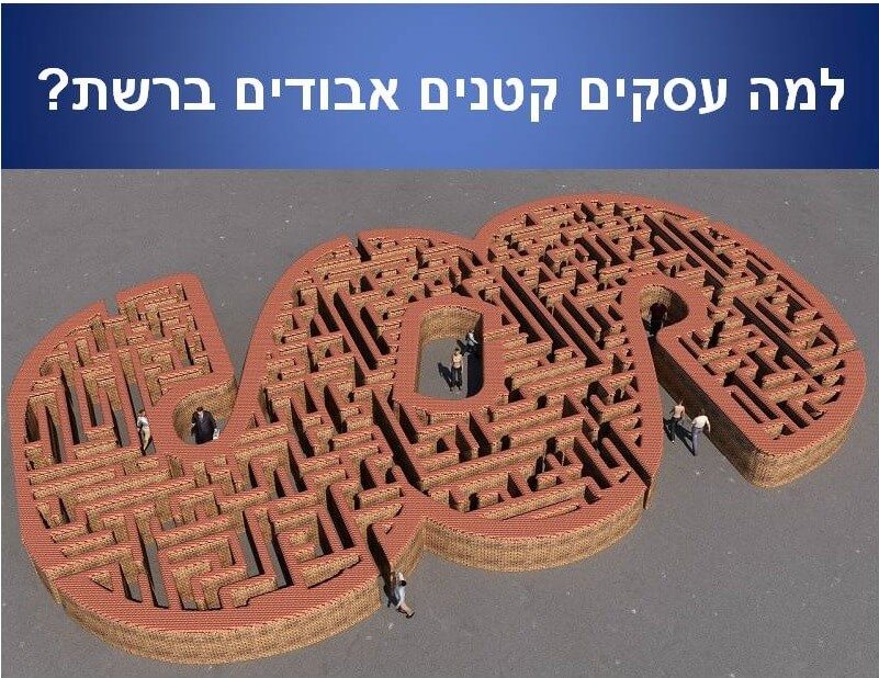 למה עסקים קטנים אבודים ברשת