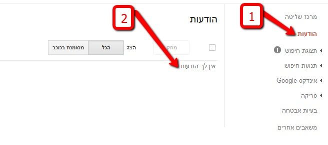 כלי מנהלי אתרים של גוגל